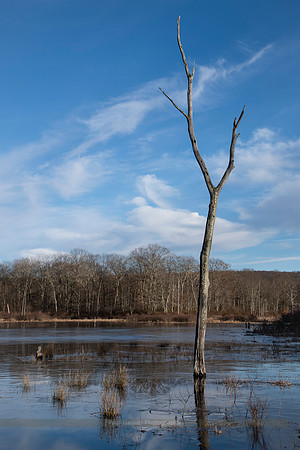 Airline Trail Winter