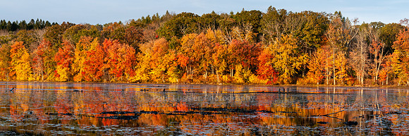Goodwin Lake, Autumn