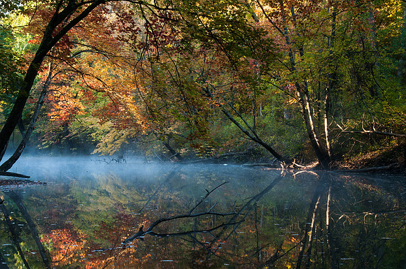 Willimantic River, Autumn