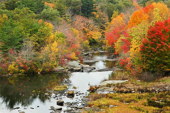 Autumn, Mansfield Hollow Dam