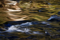 Natchaug Forest River