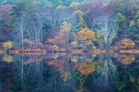 Autumn Finale
