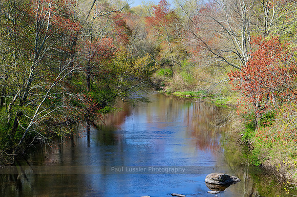 Early Autumn