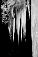 Hanging There