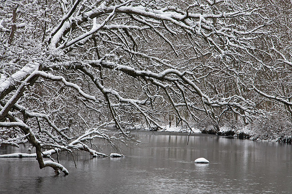 Snow Cover