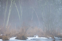 Winter Fog