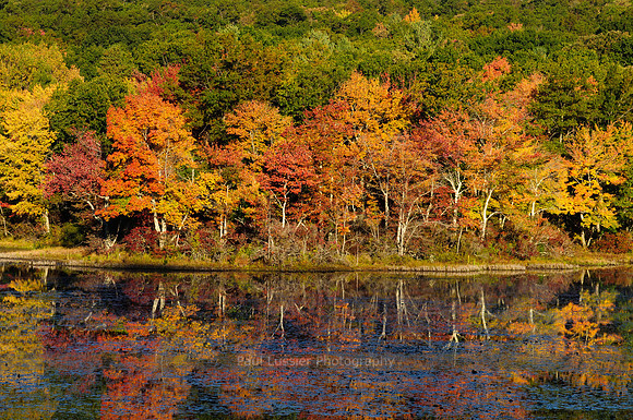 Autumn Morning, Bolton Pond