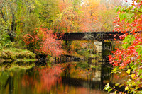 Trestle in Autumn