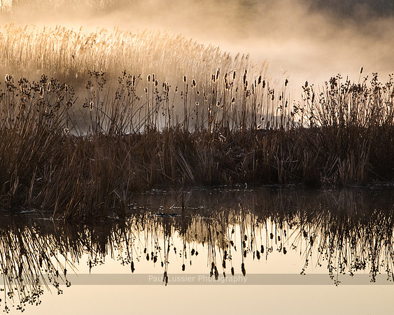 Early Morning Mist, Spring