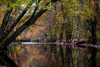 Autumn Reflection