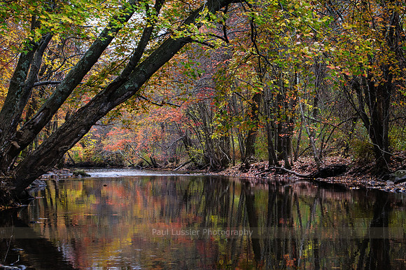 Autumn Reflection