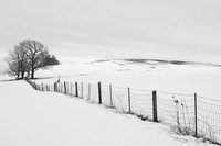 Distant Hill