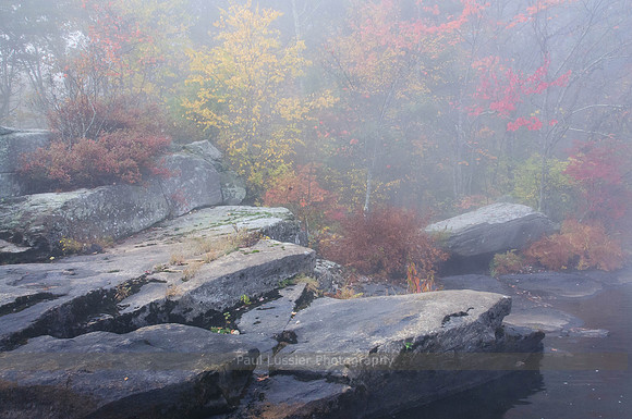 Autumn Fog