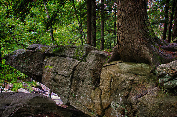 On The Edge