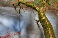 Touch The River
