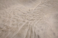 Sand Impressions