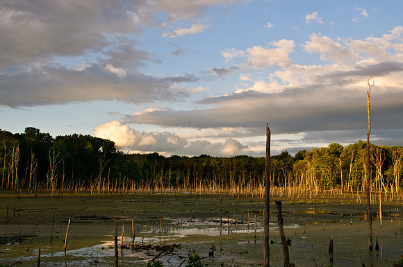 23. After The Storm