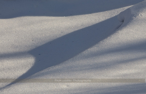 32. Shadow Ridge