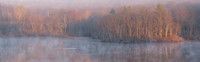 Panoramic