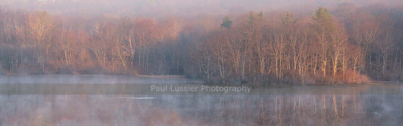 First Light