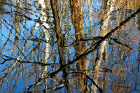 Reflections