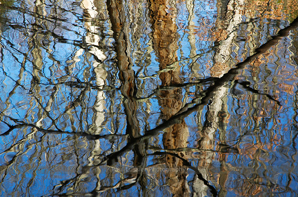 Reflections