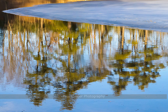 30. Spring Reflection