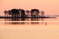 Bar Neck Sunrise