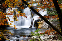 Autumn View