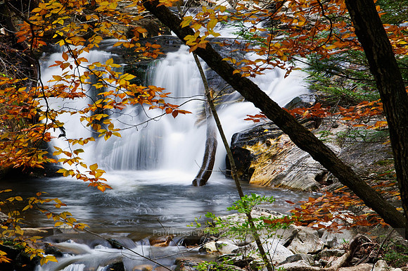 Autumn View