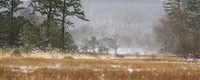 6. Wind-Swept Window