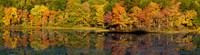 Autumn Morning