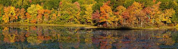 Autumn Morning