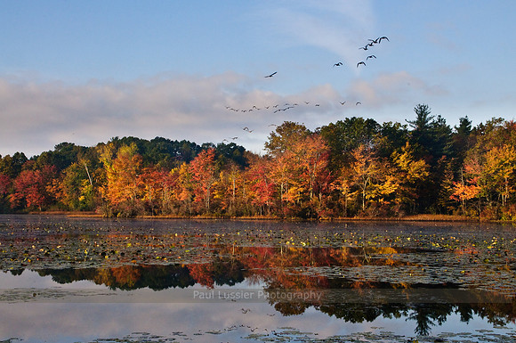 18. Taking Flight, Bolton Pond