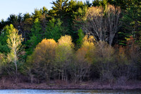 5. Evening Spring Colors