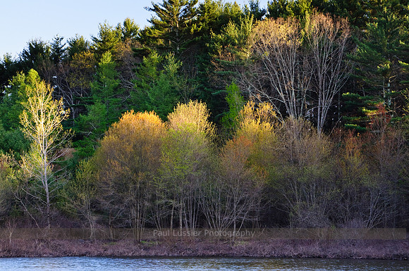 5. Evening Spring Colors