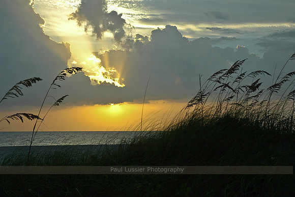 Florida Sunset