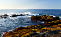 Morning Light, Gull Cove