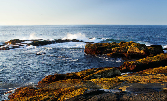 Morning Light, Gull Cove