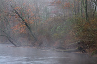 Leaning Into The Mist