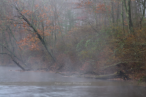 Leaning Into The Mist